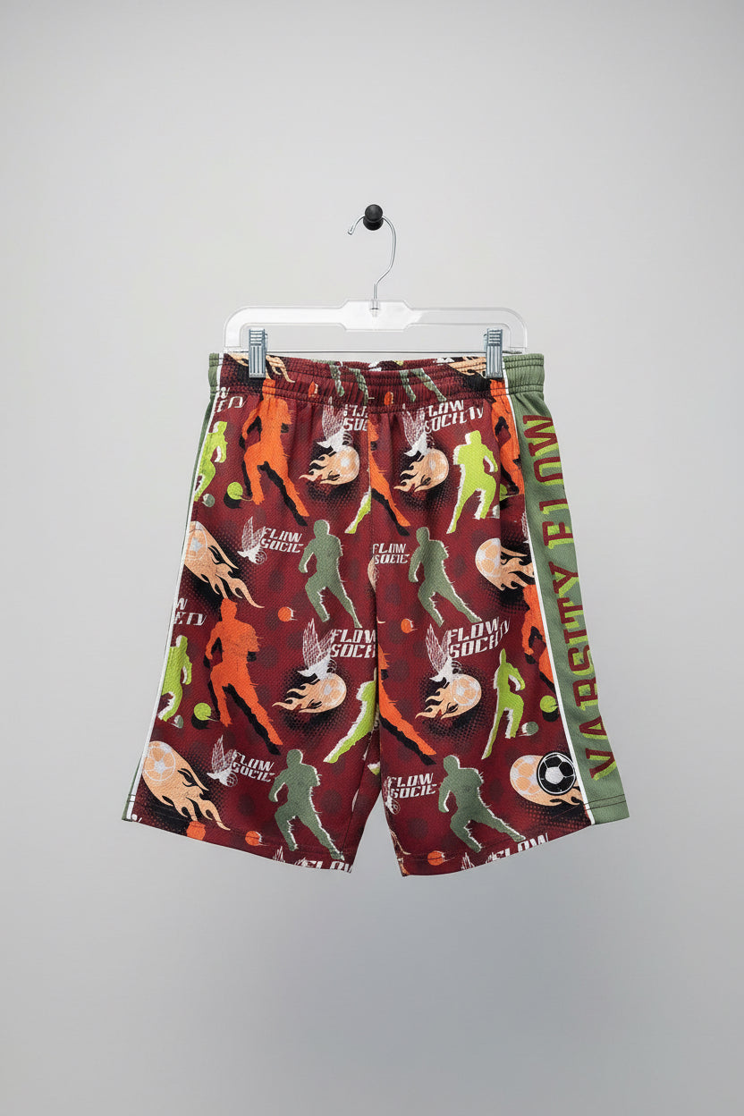 Flow Society Shorts L Multicolor soccer